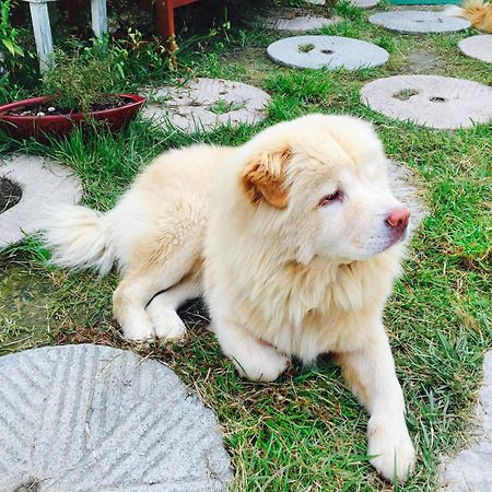 Dowon Guesthouse Jeonju Zewnętrze zdjęcie